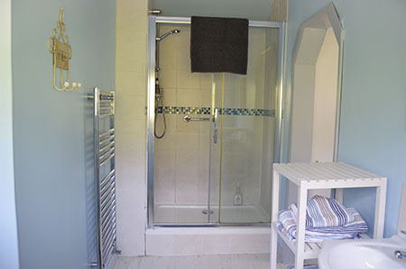 cabin shower room